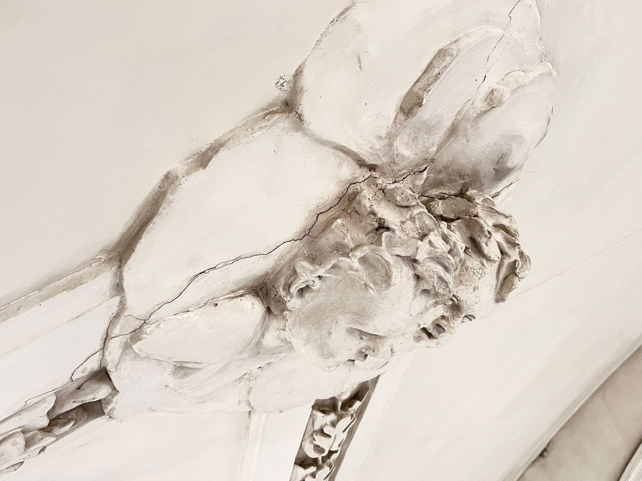 Bild — Restauration